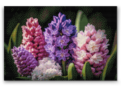 Diamond Painting - Hyacinter