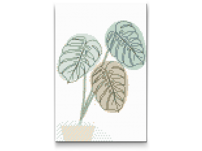 Diamond Painting - Boho Monstera 2