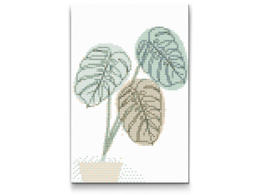 Diamond Painting - Boho Monstera 2