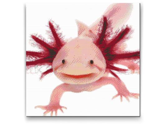 Diamond Painting - Axolotl 3