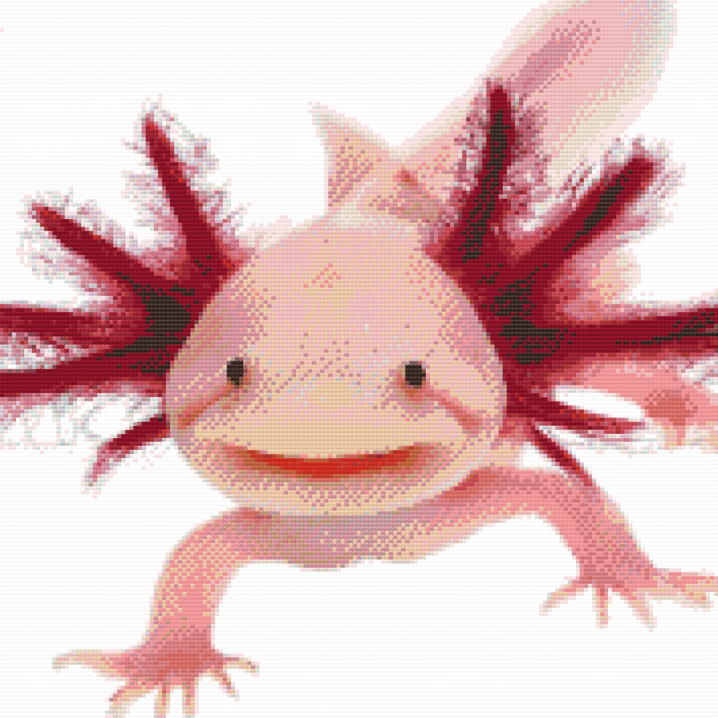 Diamond Painting - Axolotl 3