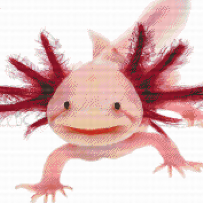 Diamond Painting - Axolotl 3