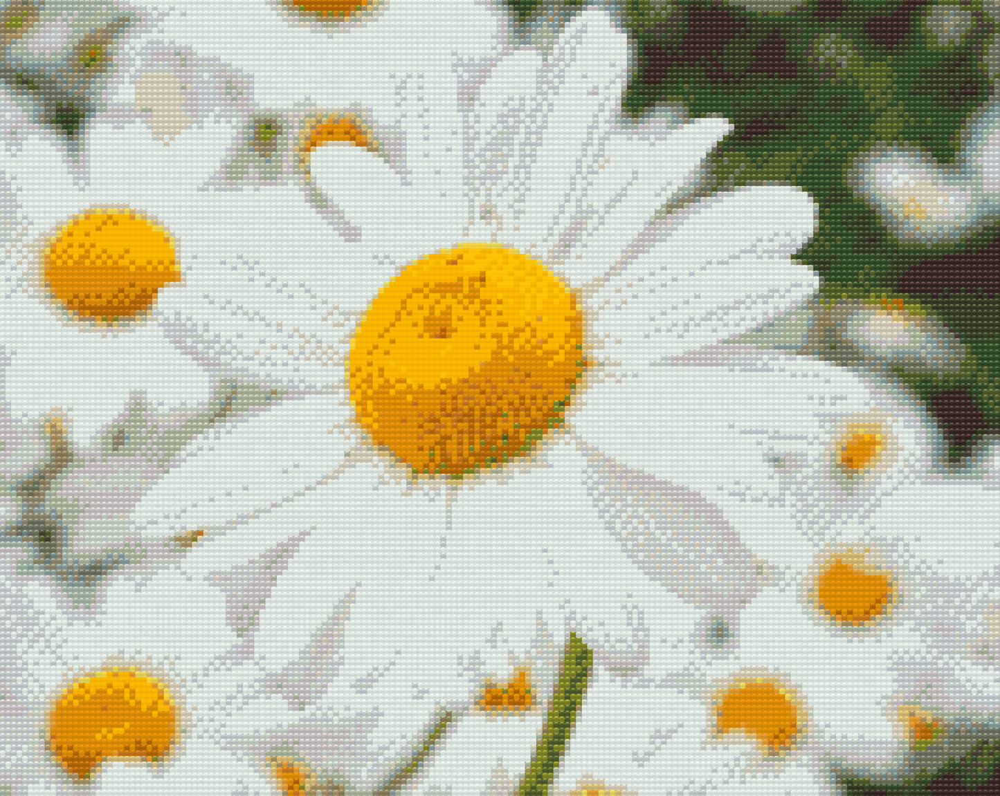 Diamond Painting - Margueritter