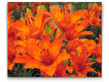 Diamond Painting - Orange liljer