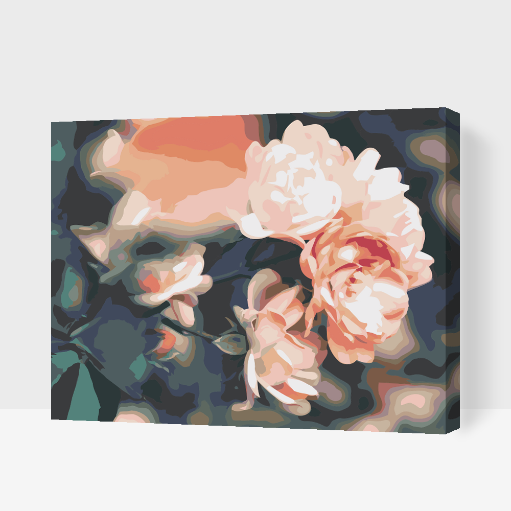 Paint by Numbers - Roser