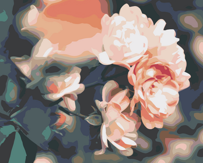 Paint by Numbers - Roser