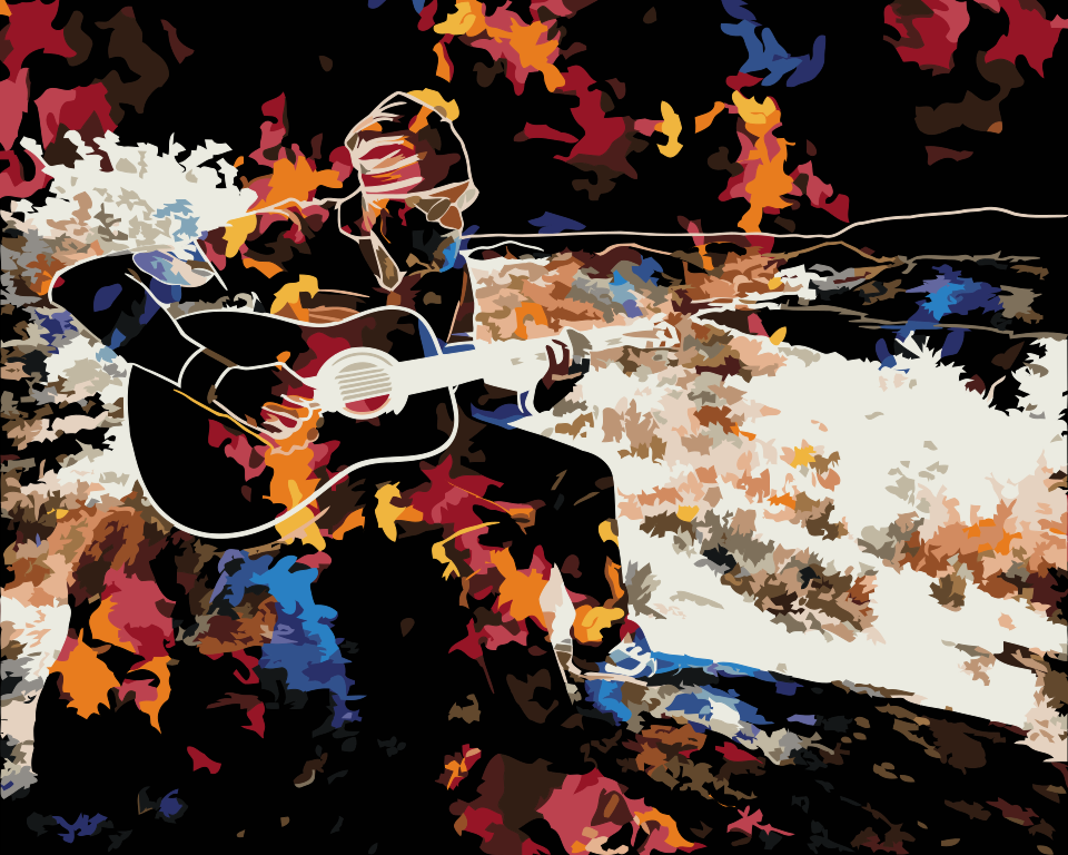 Paint by Numbers - Guitarist