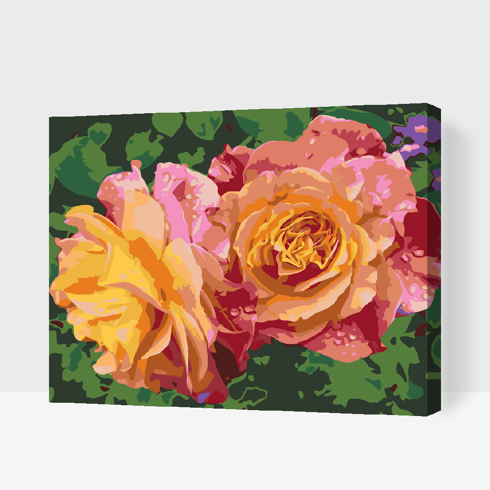 Paint by Numbers - Rose, Skønhedens Blomster