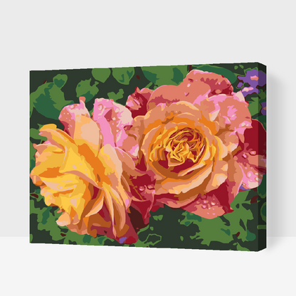 Paint by Numbers - Rose, Skønhedens Blomster