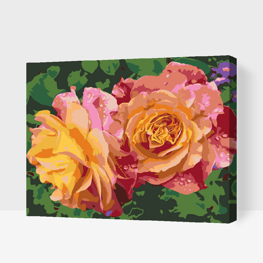 Paint by Numbers - Rose, Skønhedens Blomster