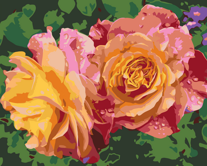 Paint by Numbers - Rose, Skønhedens Blomster