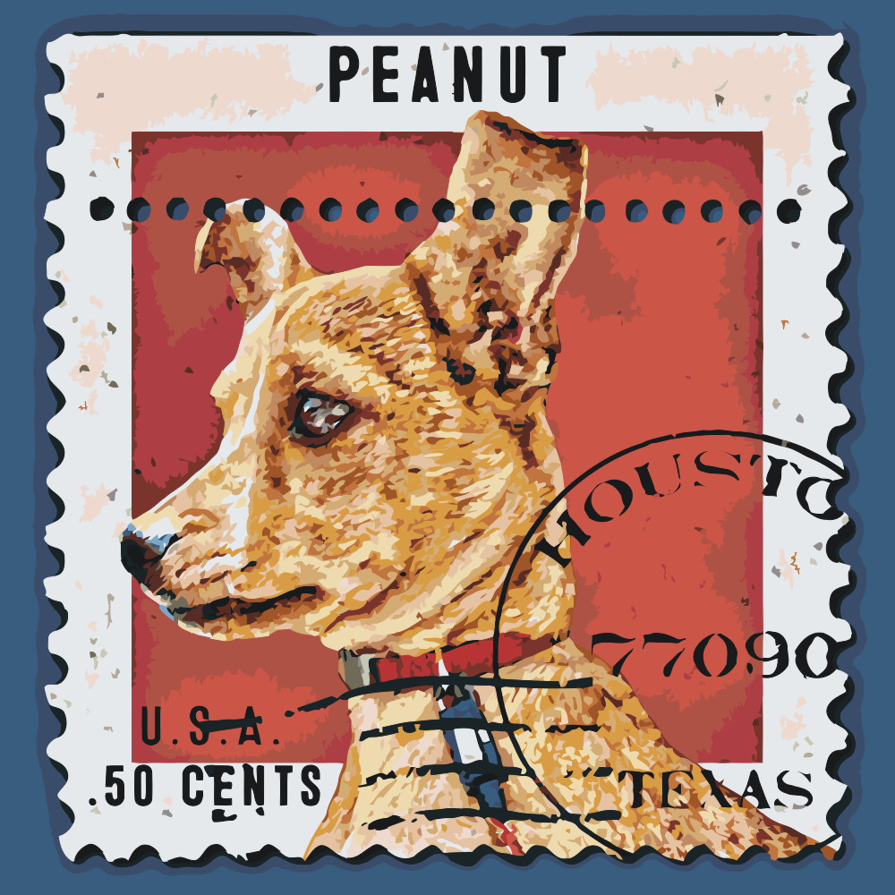 Paint by Numbers - Hundestempel