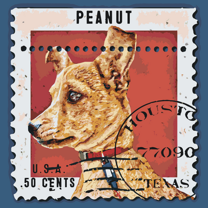 Paint by Numbers - Hundestempel