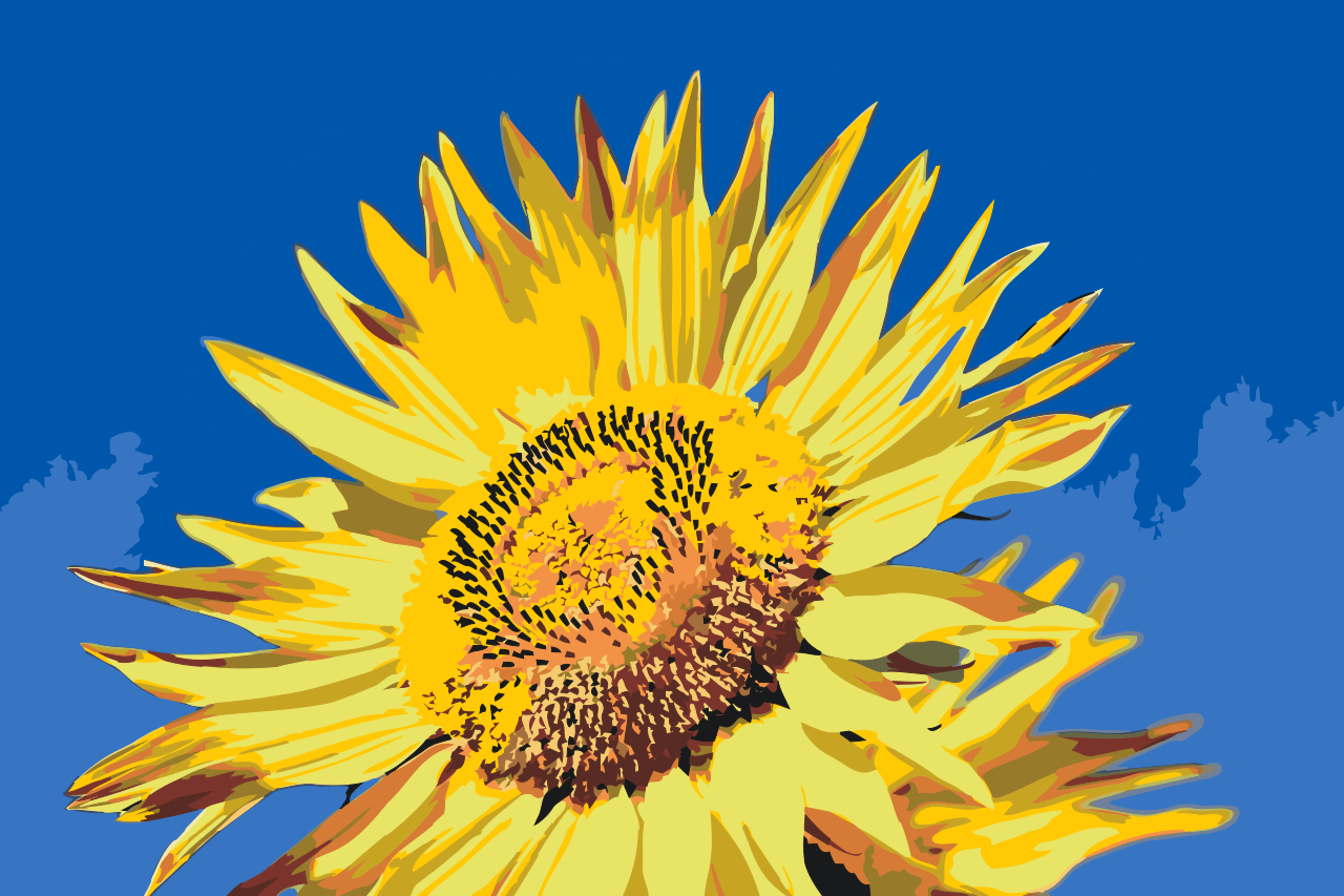 Paint by Numbers - Blå himmel og solsikke