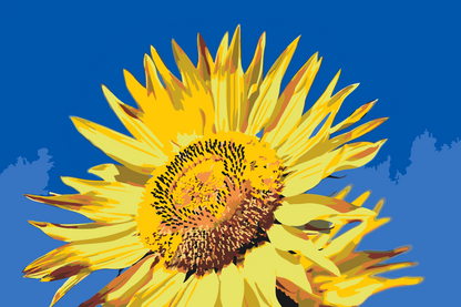 Paint by Numbers - Blå himmel og solsikke