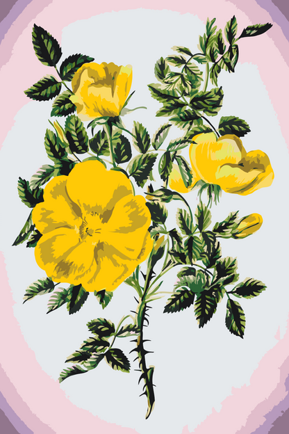 Paint by Numbers - Vintage Flowers III