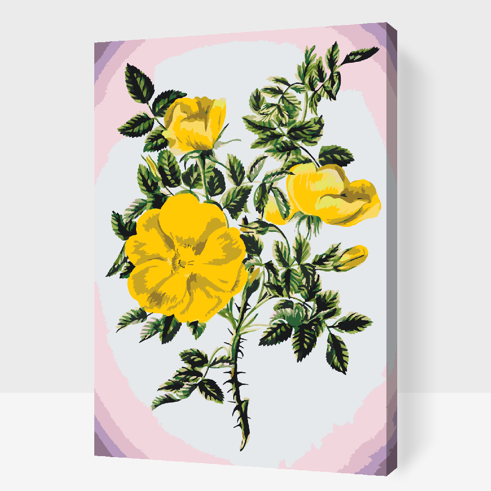 Paint by Numbers - Vintage Flowers III