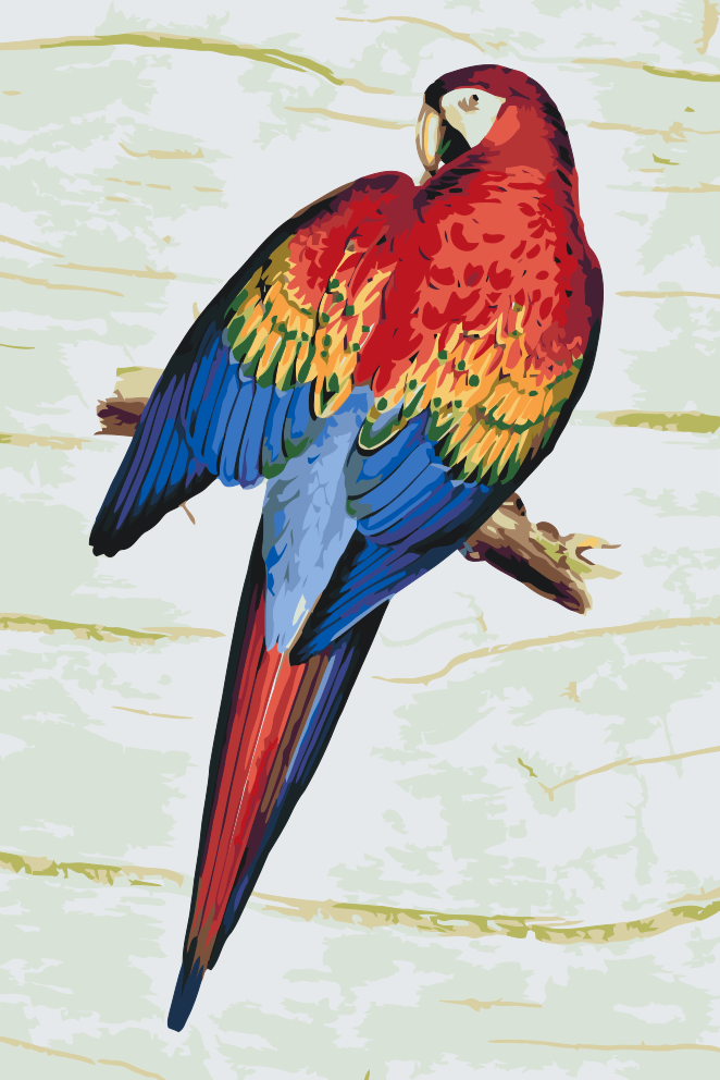 Paint by Numbers - Vintage Parrot 2