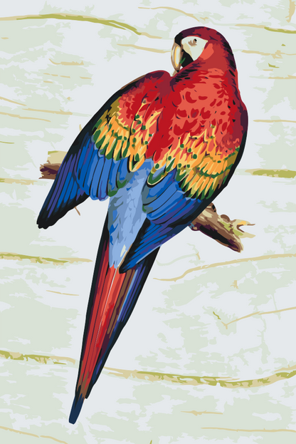 Paint by Numbers - Vintage Parrot 2