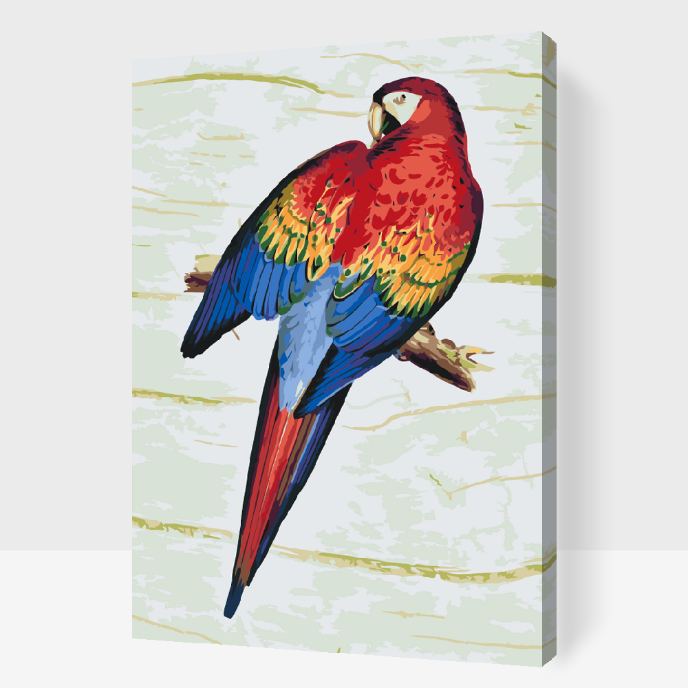 Paint by Numbers - Vintage Parrot 2