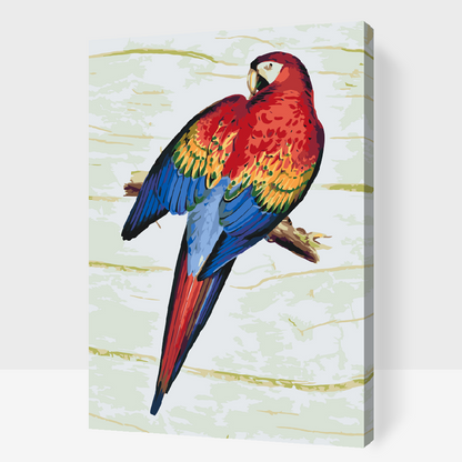 Paint by Numbers - Vintage Parrot 2