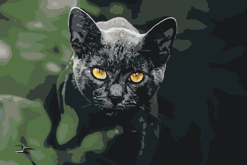 Paint by Numbers - Sort Kat