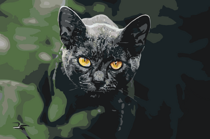 Paint by Numbers - Sort Kat