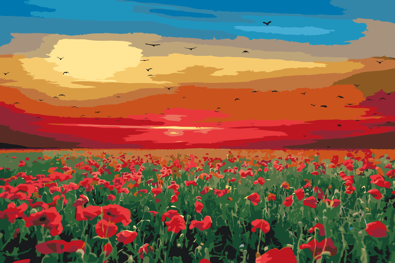 Paint by Numbers - Valmuemark ved solnedgang