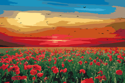 Paint by Numbers - Valmuemark ved solnedgang