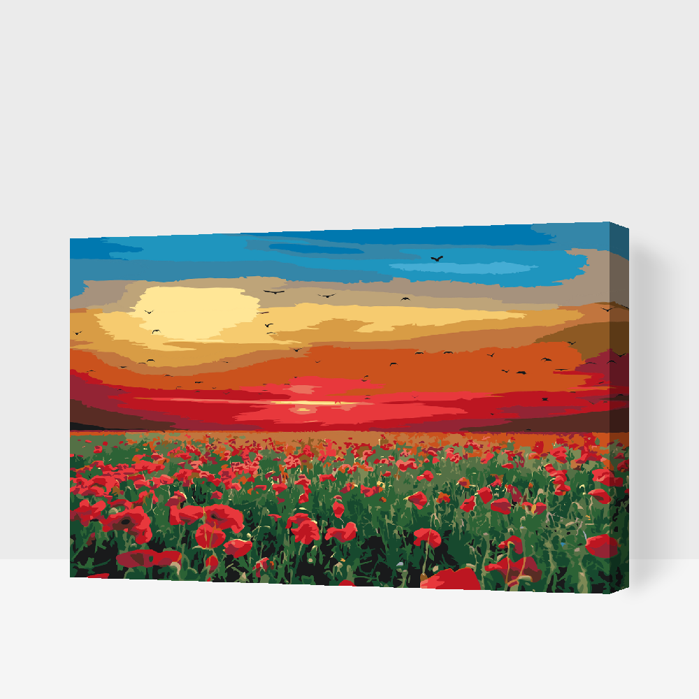 Paint by Numbers - Valmuemark ved solnedgang