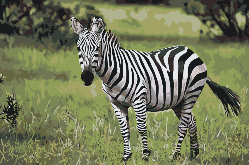 Paint by Numbers - Zebra i naturen