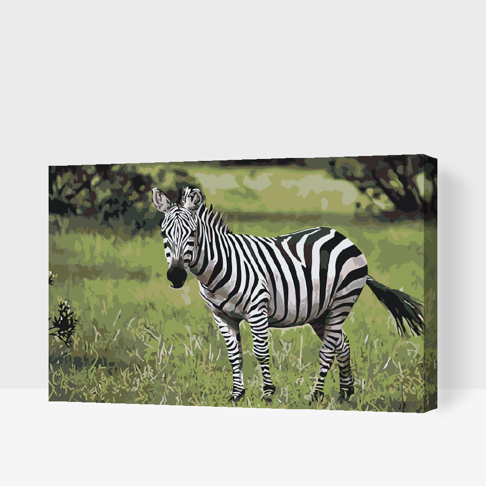 Paint by Numbers - Zebra i naturen