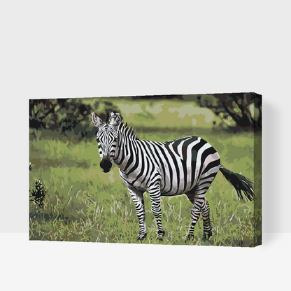 Paint by Numbers - Zebra i naturen