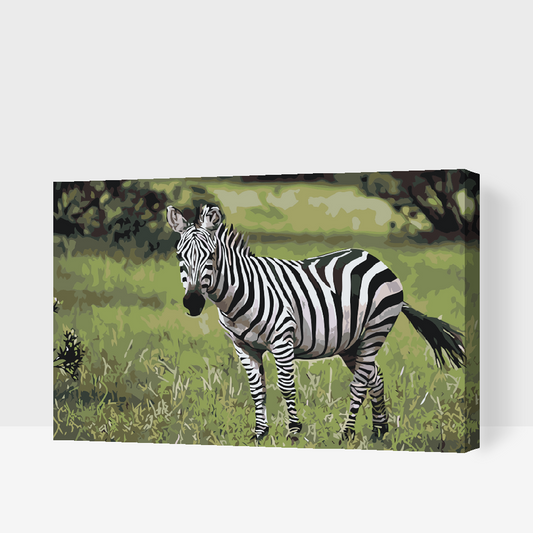Paint by Numbers - Zebra i naturen