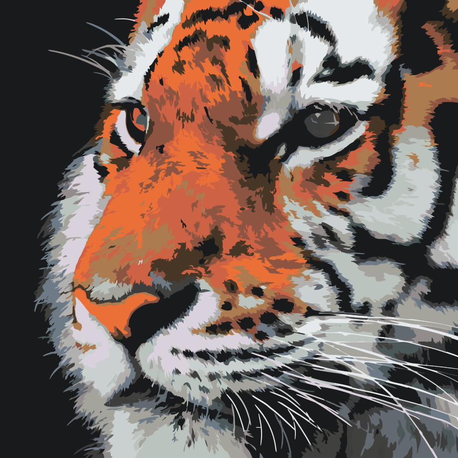 Paint by Numbers - Tiger