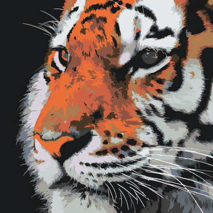 Paint by Numbers - Tiger