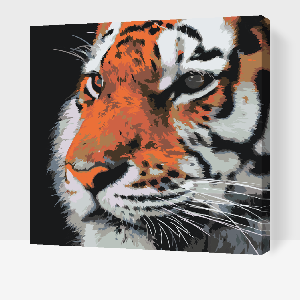 Paint by Numbers - Tiger