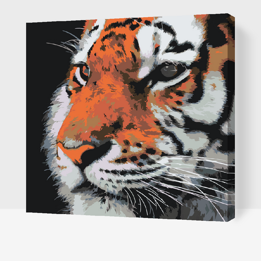 Paint by Numbers - Tiger