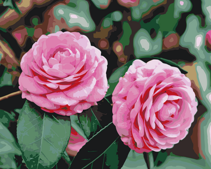 Paint by Numbers - Lyserøde kameliaer