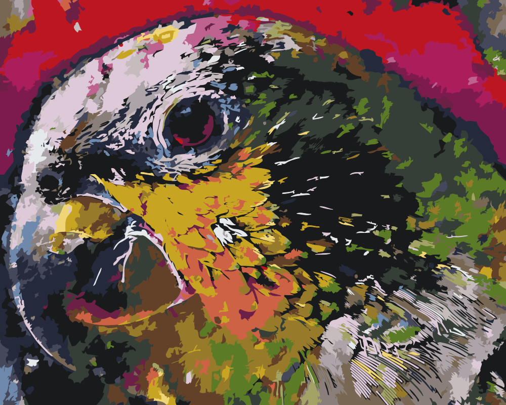 Paint by Numbers - Papegøjehoved