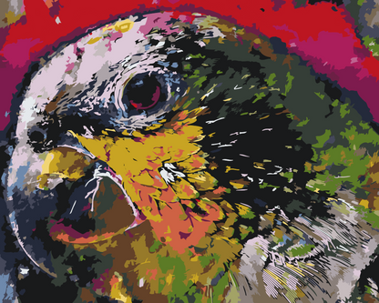 Paint by Numbers - Papegøjehoved