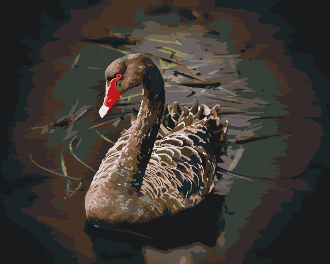 Paint by Numbers - Sort Svane