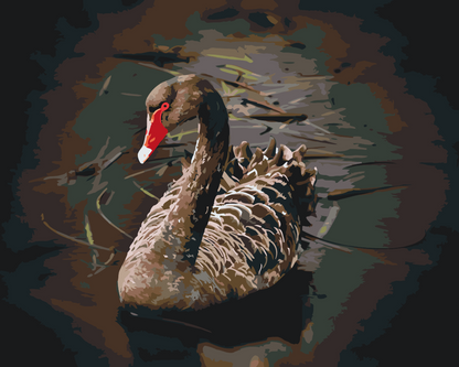 Paint by Numbers - Sort Svane
