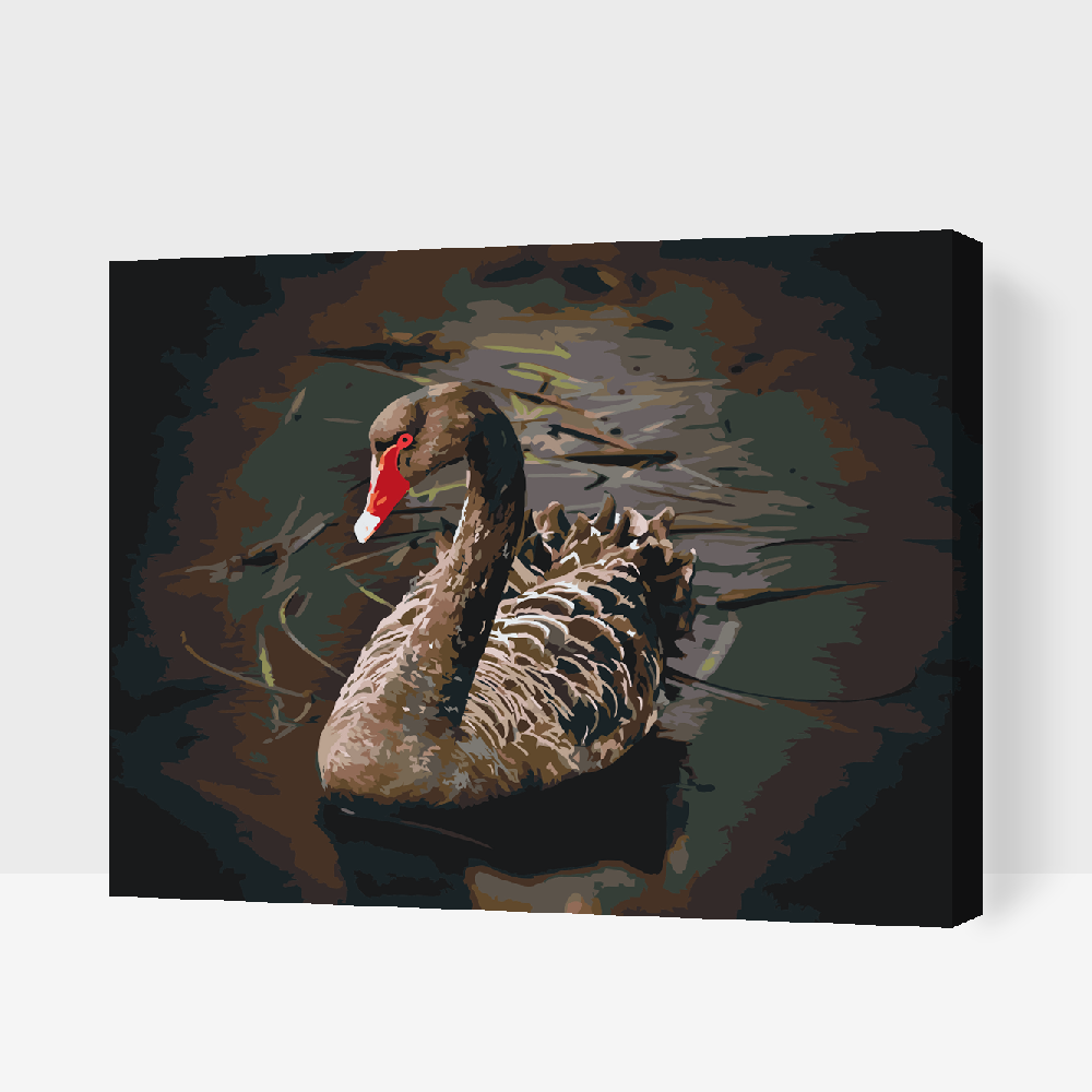 Paint by Numbers - Sort Svane