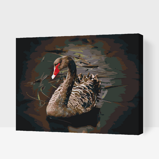 Paint by Numbers - Sort Svane