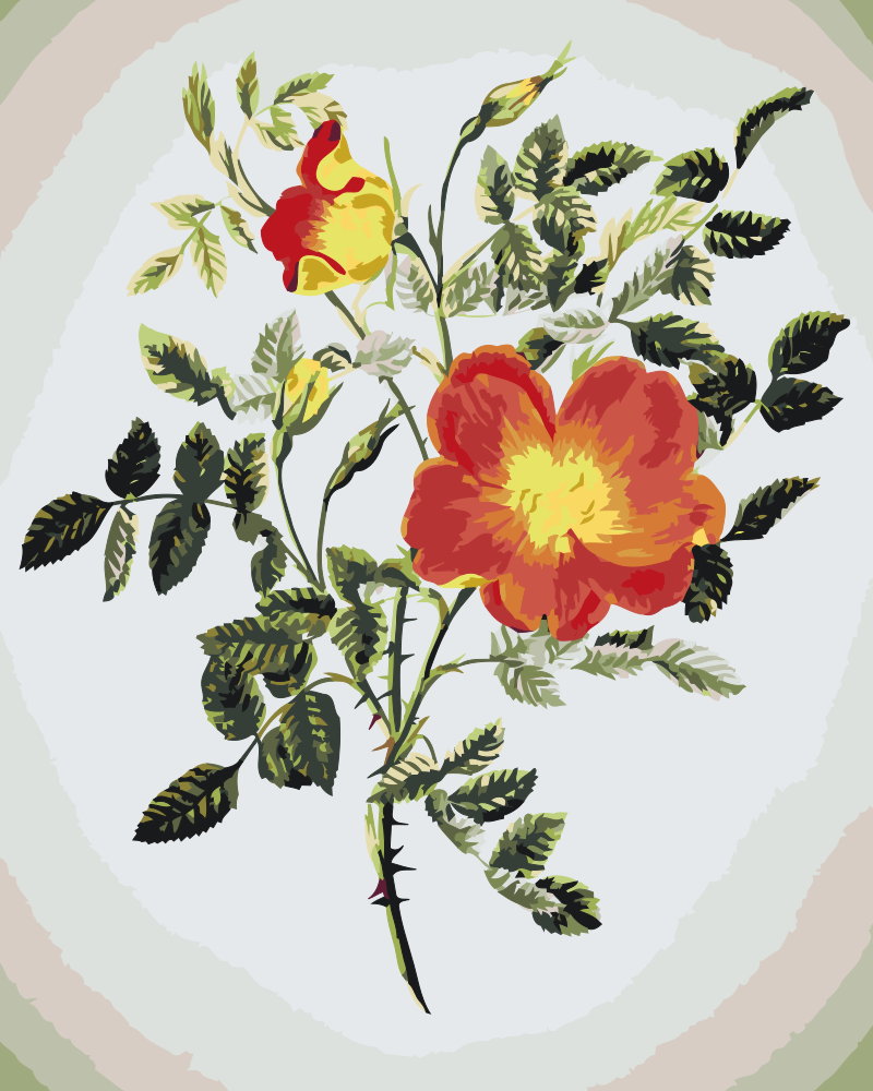 Paint by Numbers - Vintage Flowers VI
