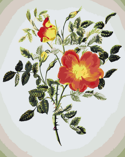 Paint by Numbers - Vintage Flowers VI