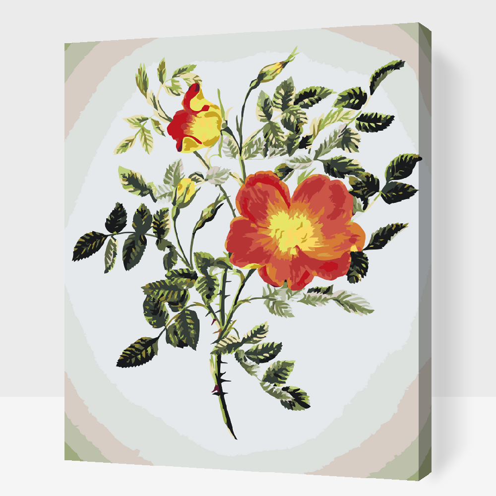 Paint by Numbers - Vintage Flowers VI