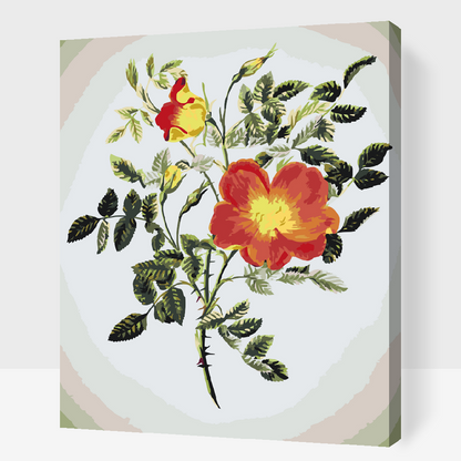 Paint by Numbers - Vintage Flowers VI
