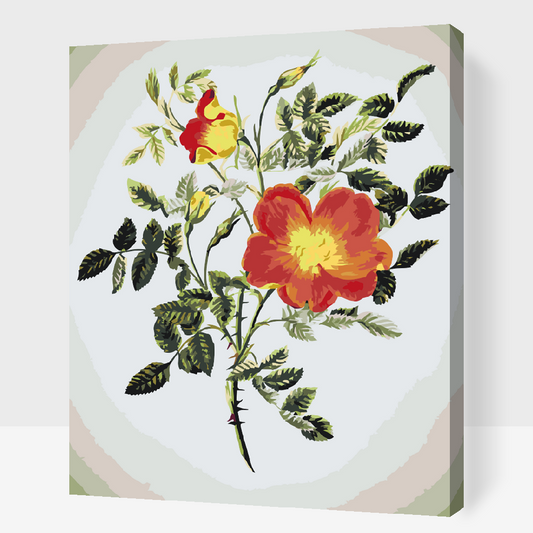 Paint by Numbers - Vintage Flowers VI